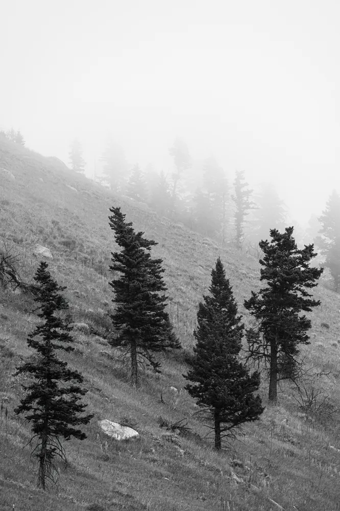 Beartooth Mountains, MT.