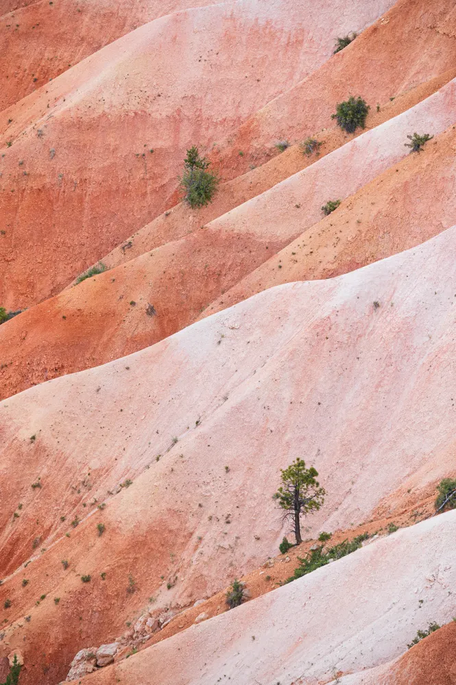 Bryce Canyon National Park