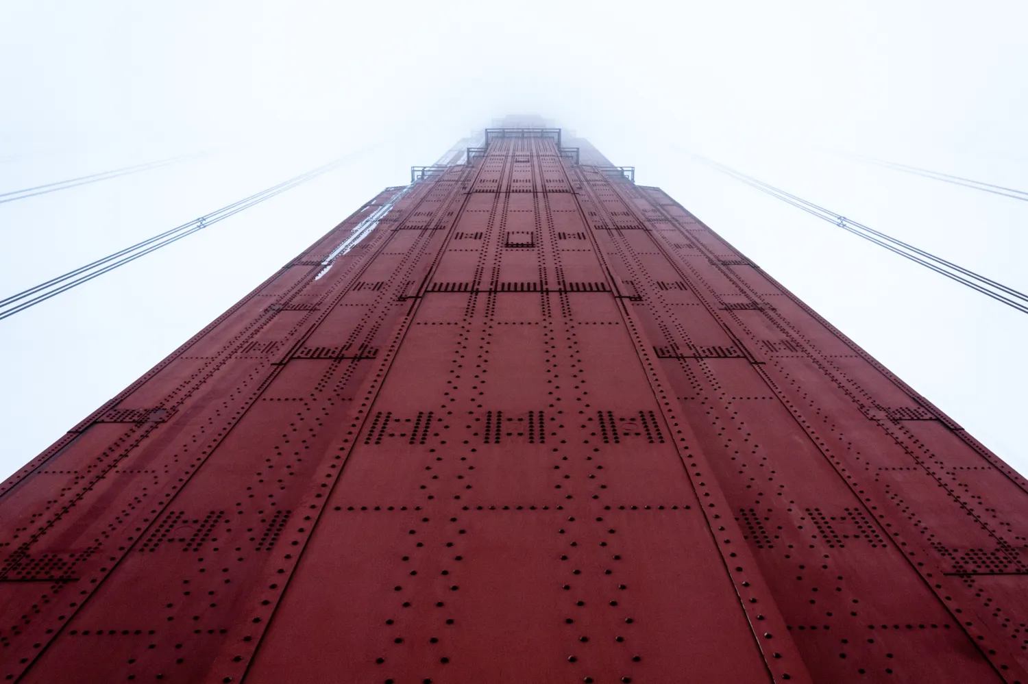 Got up early to get a shot of the bridge at dawn from the battery on the Marin Headlands, but the fog was so thick that the bridge was totally invisible, just a presence you could hear through the fog. Walked across after and looked up to this.