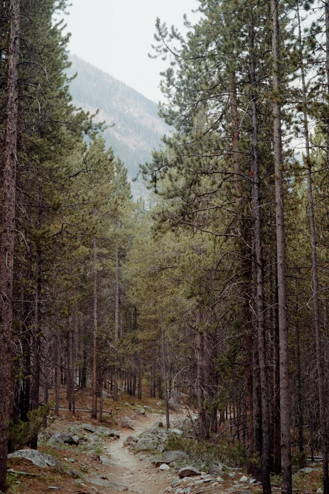 Beartooth Mountains, MT.