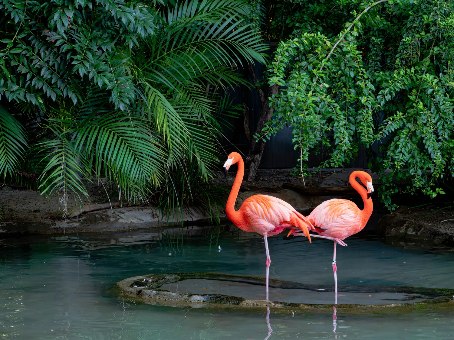 San Diego Zoo