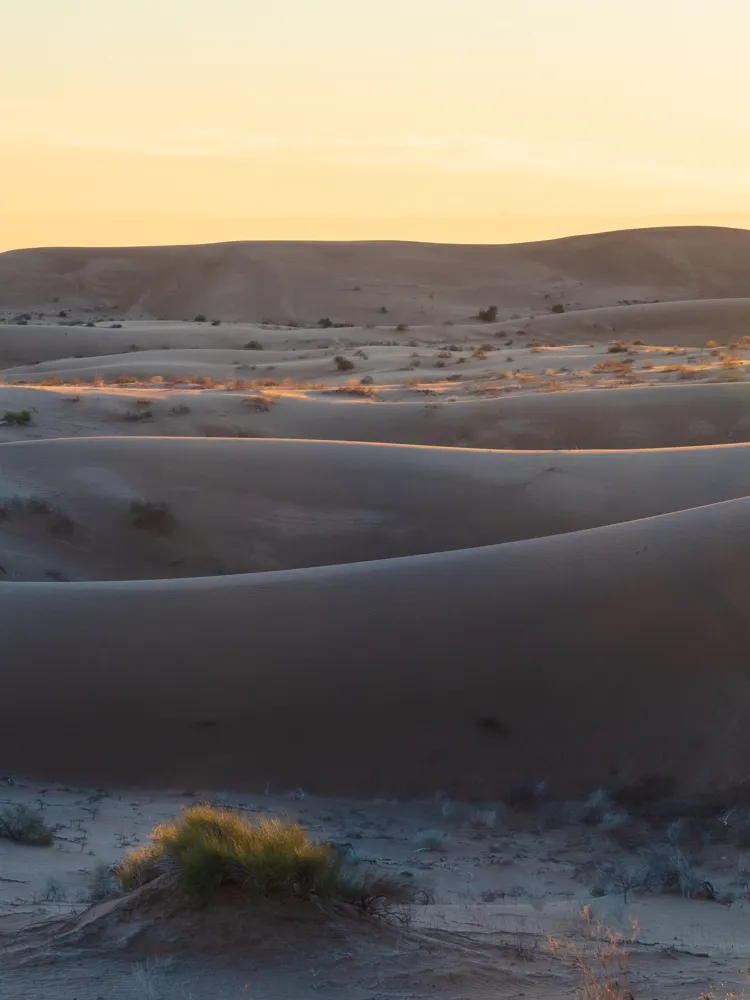 Imperial Sand Dunes, California