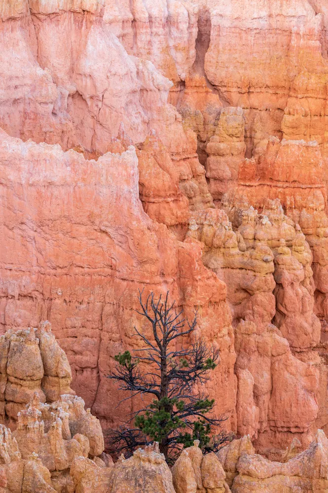 Bryce Canyon National Park