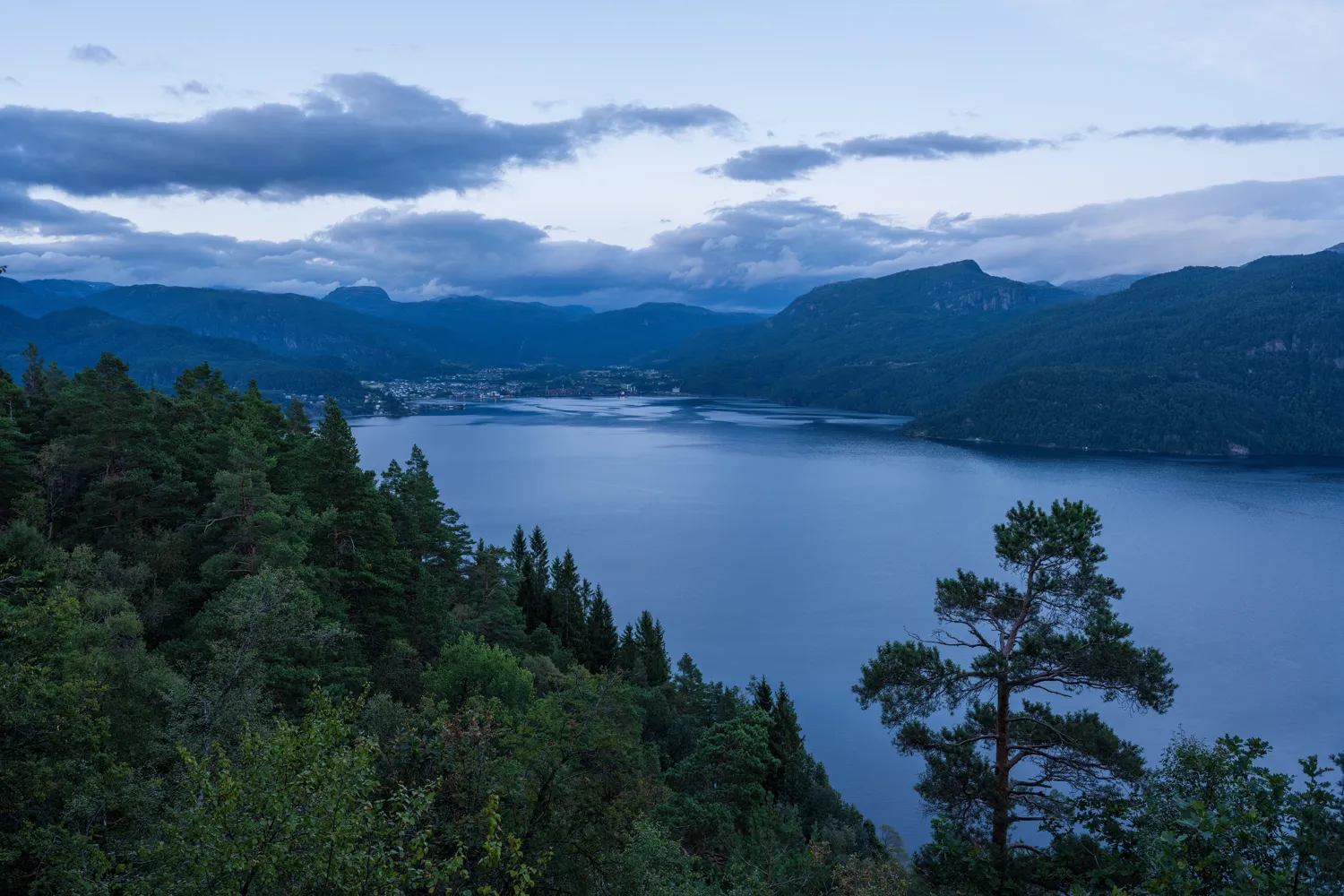 Looking out over the Saudafjord, Norway.