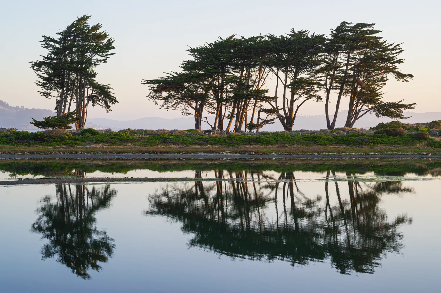 San Francisco, CA