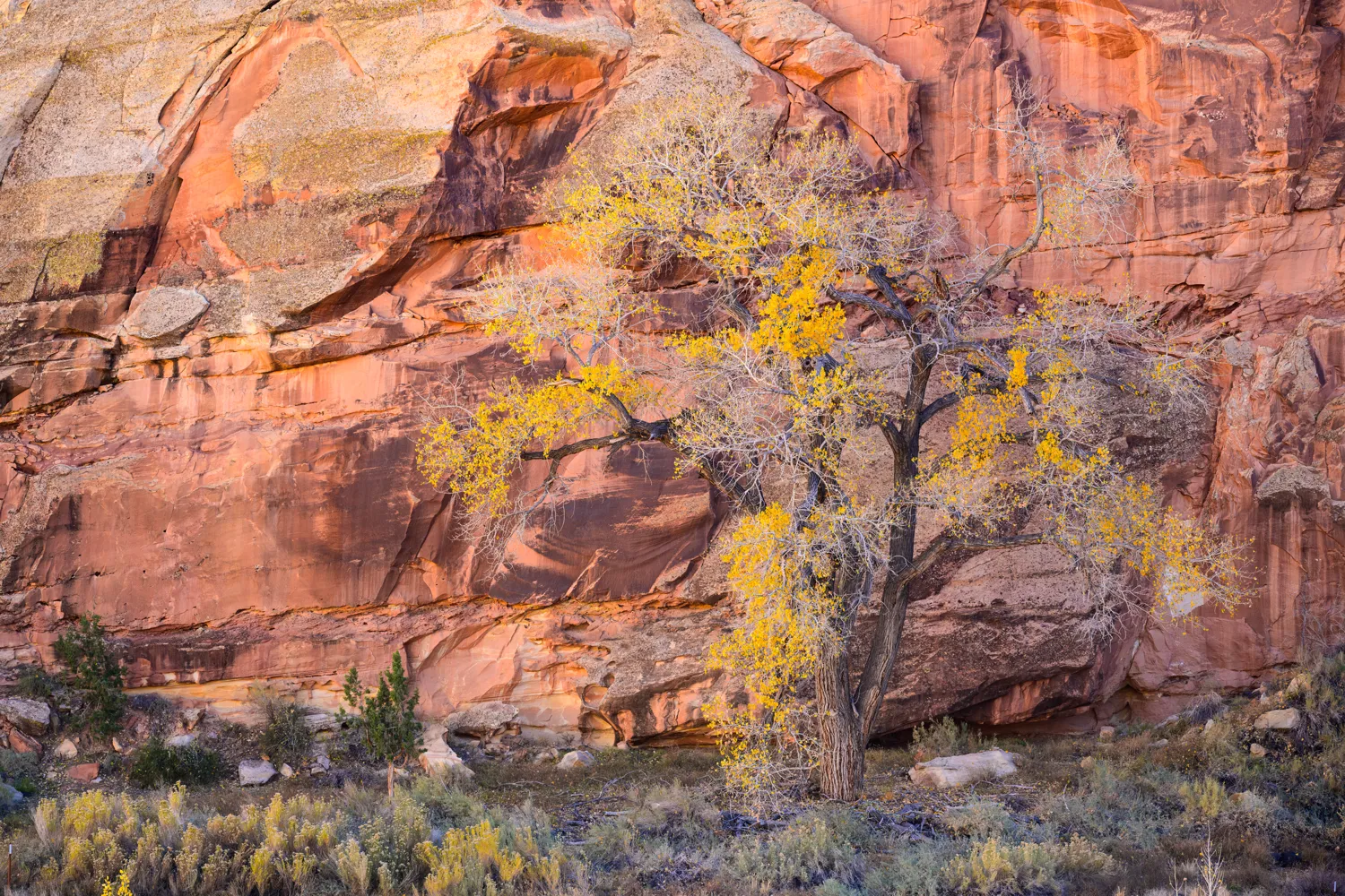 Capitol Reef National Park, Utah.