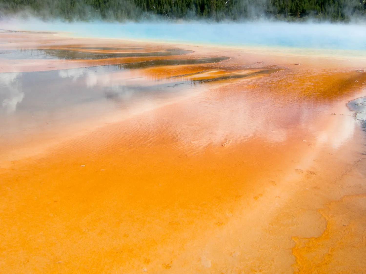 Yellowstone