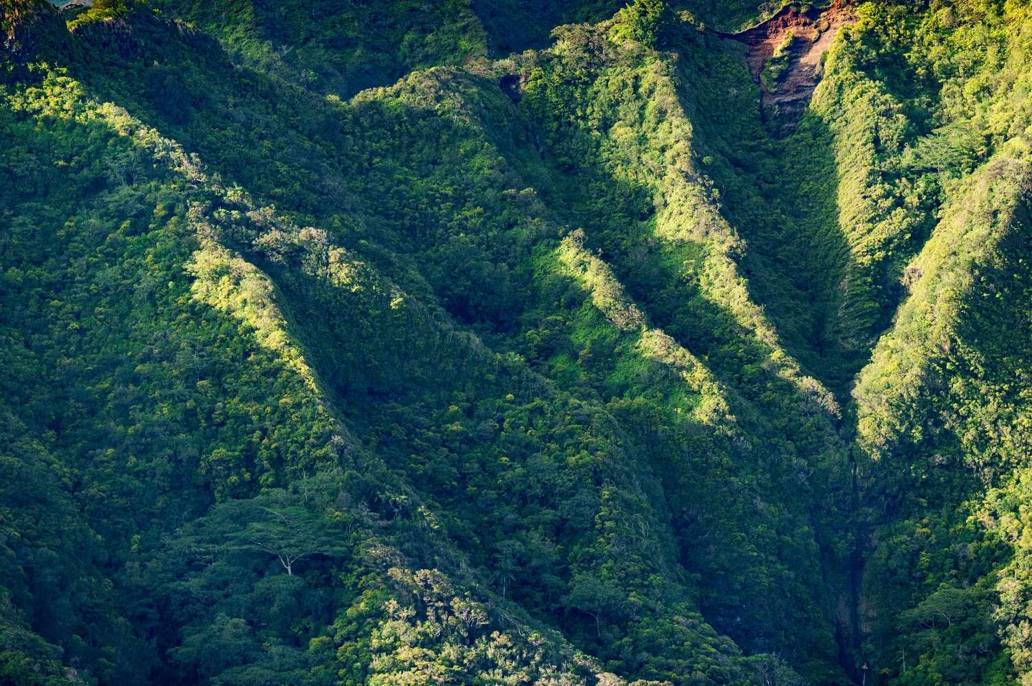 Oahu, Hawaii