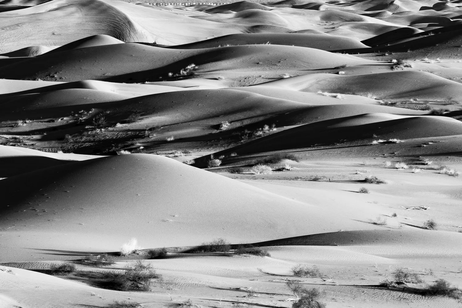 Imperial Sand Dunes, California