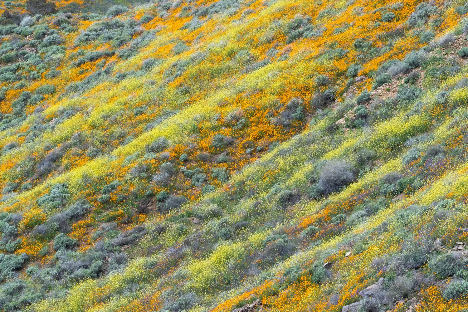 Walker Canyon, near Lake Elsinore, California.