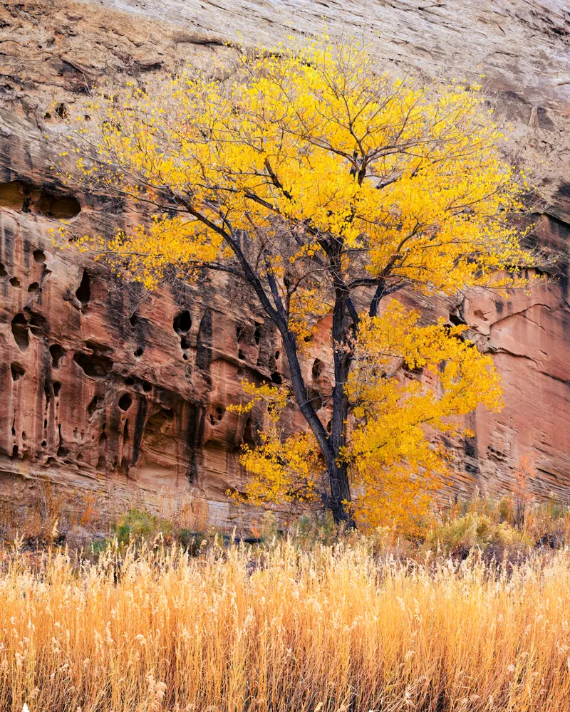 Capitol Reef National Park, Utah.