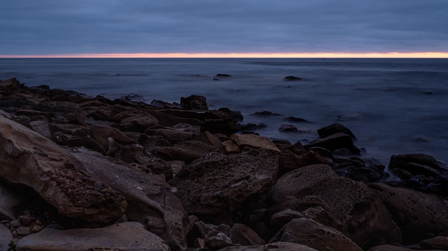 Scripps Coastal Reserve, San Diego, CA.