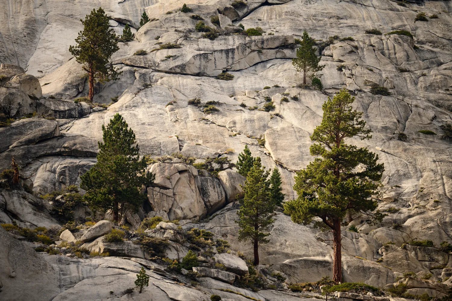 Eastern Sierra Nevada