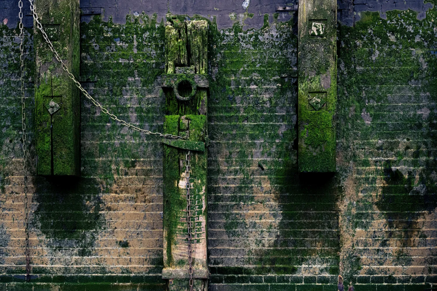 Moss, brick and wood below the highwater mark of the River Thames at Horselydown Old Stairs.