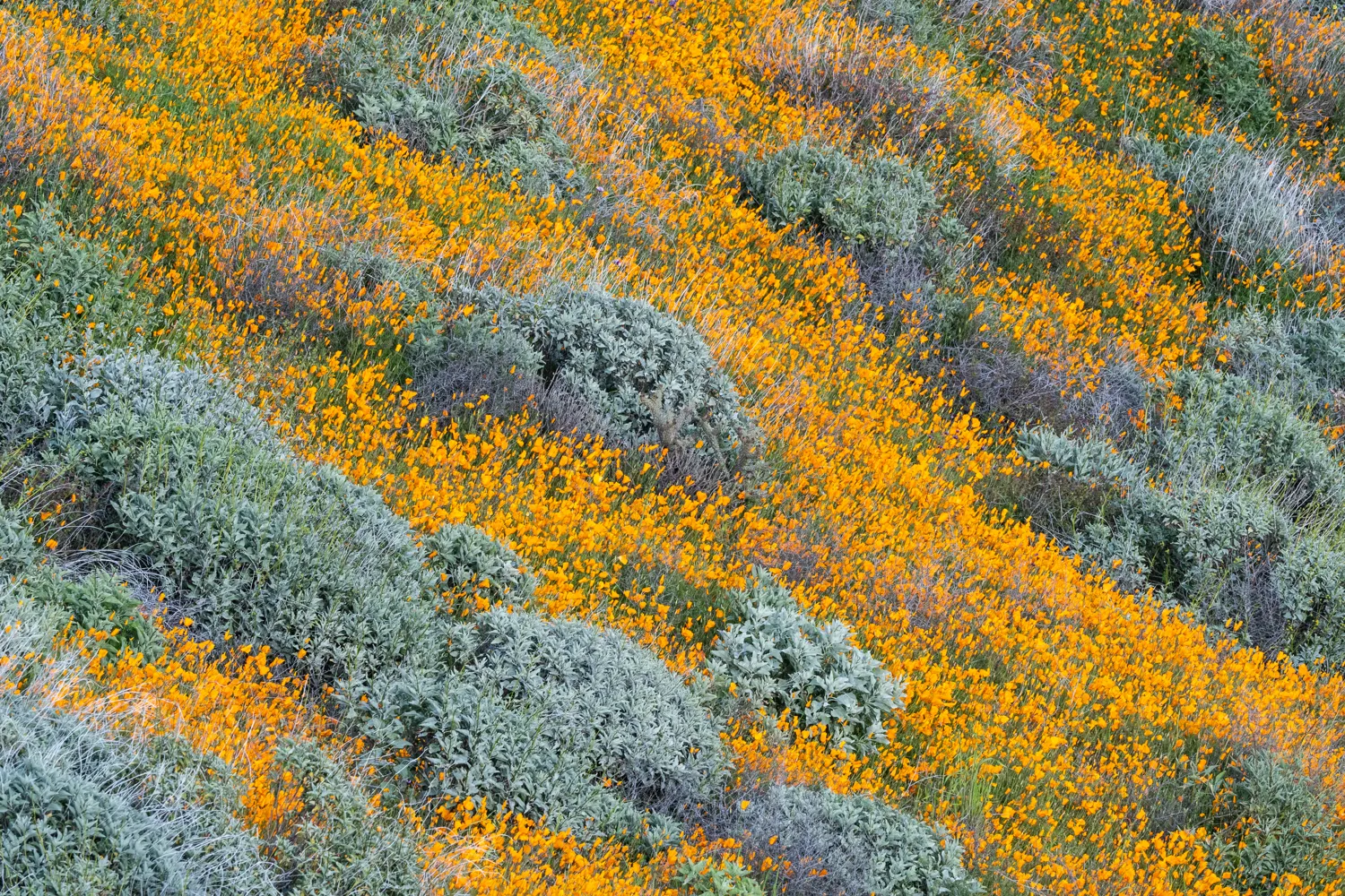 Walker Canyon, near Lake Elsinore, California.