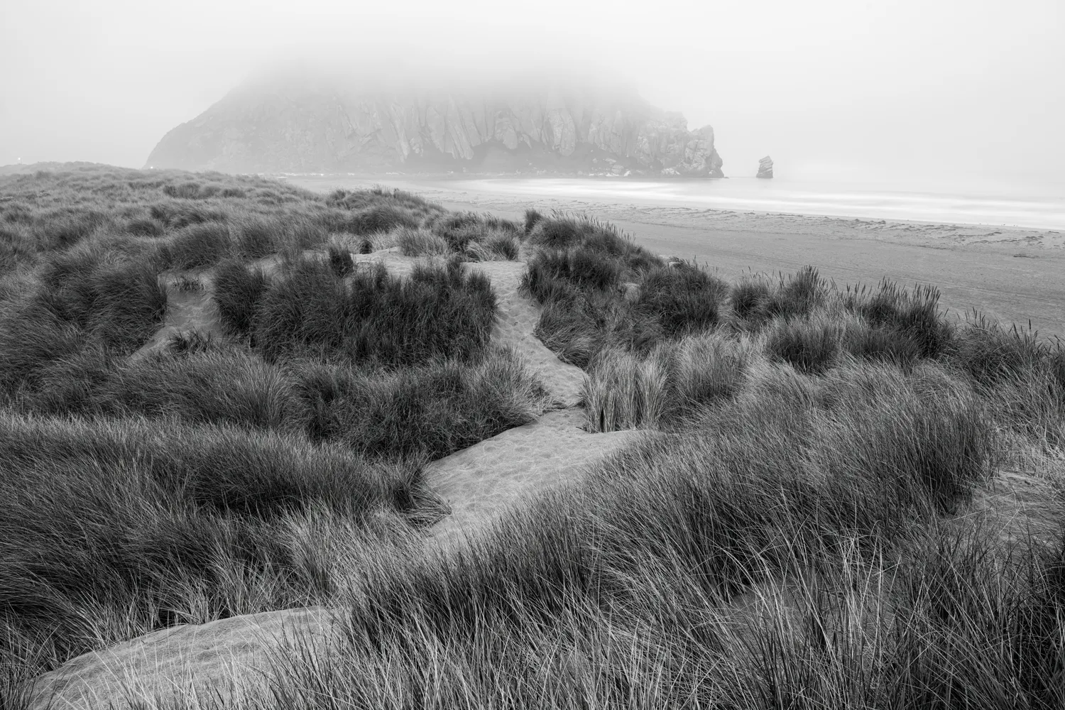 Morro Bay, CA.
