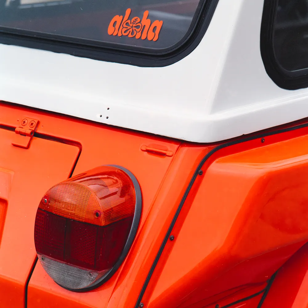 VW Thing