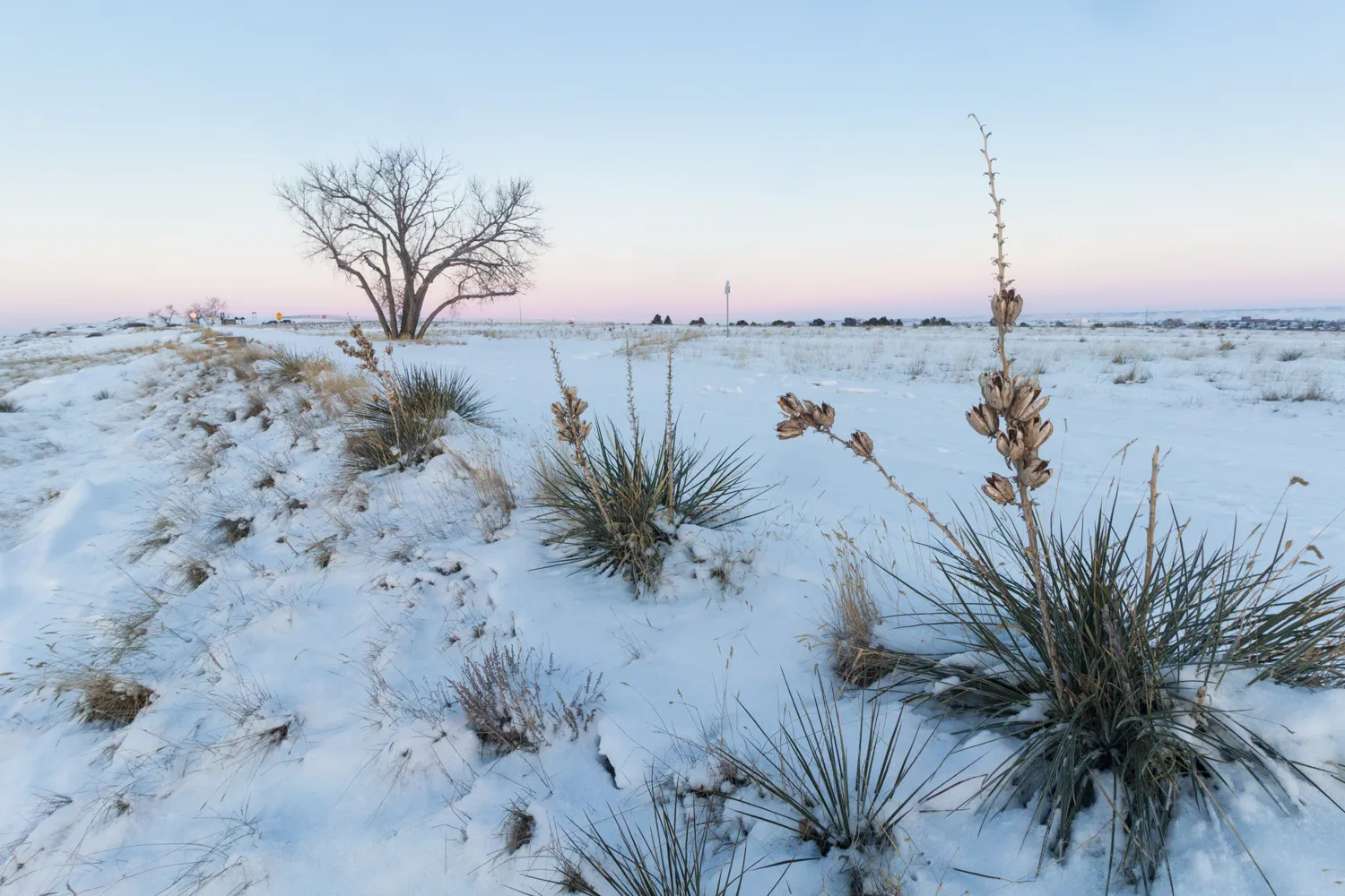 Billings, MT