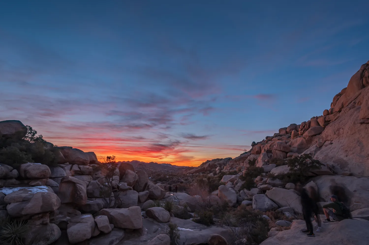 Joshua Tree National Park