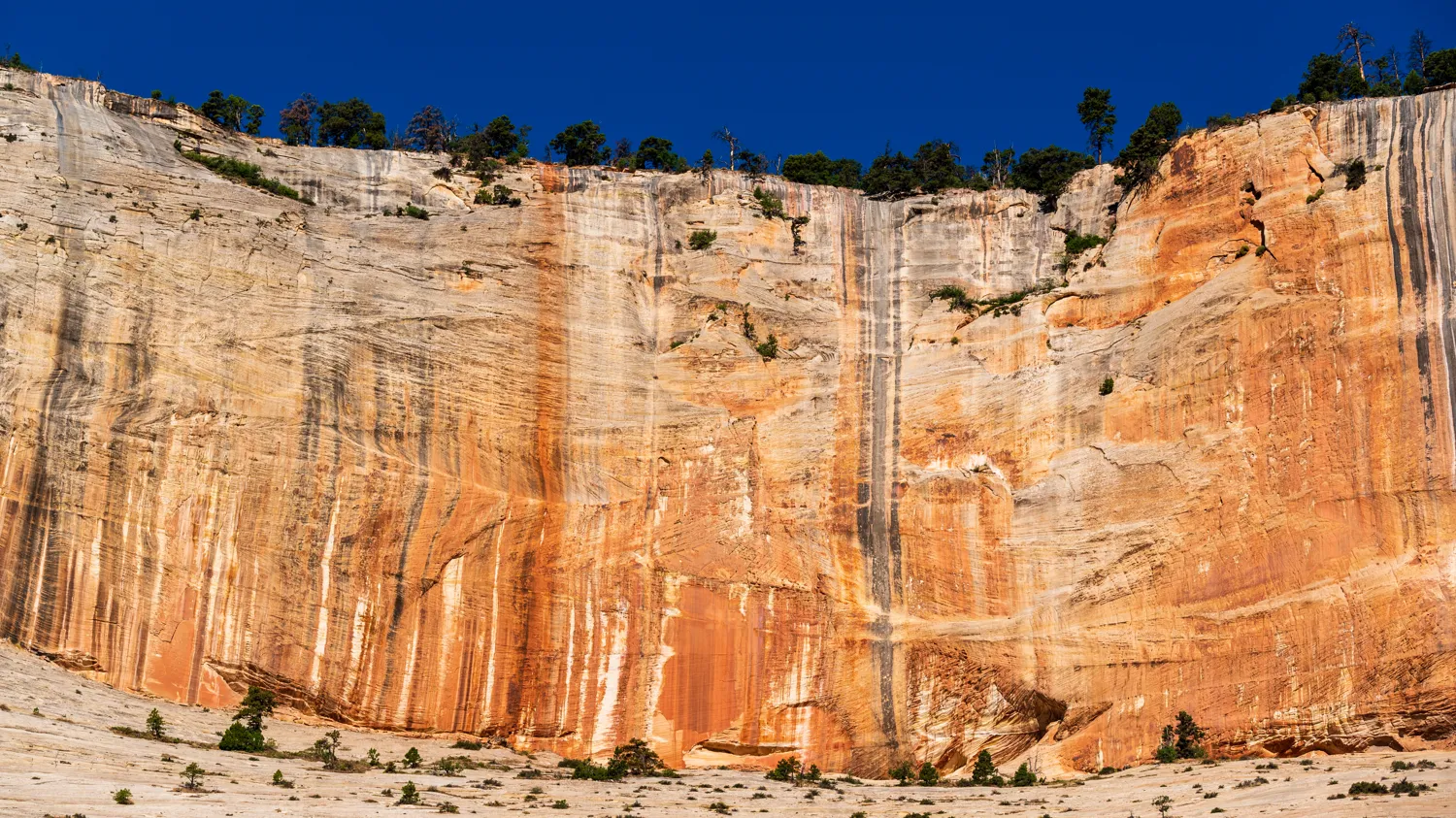 Zion National Park, Utah.