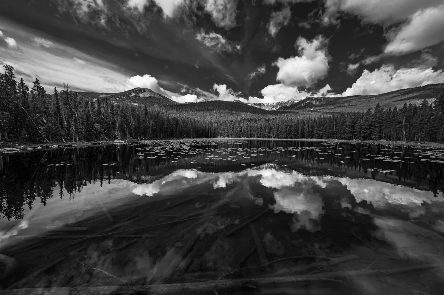 Beartooth Mountains, MT.