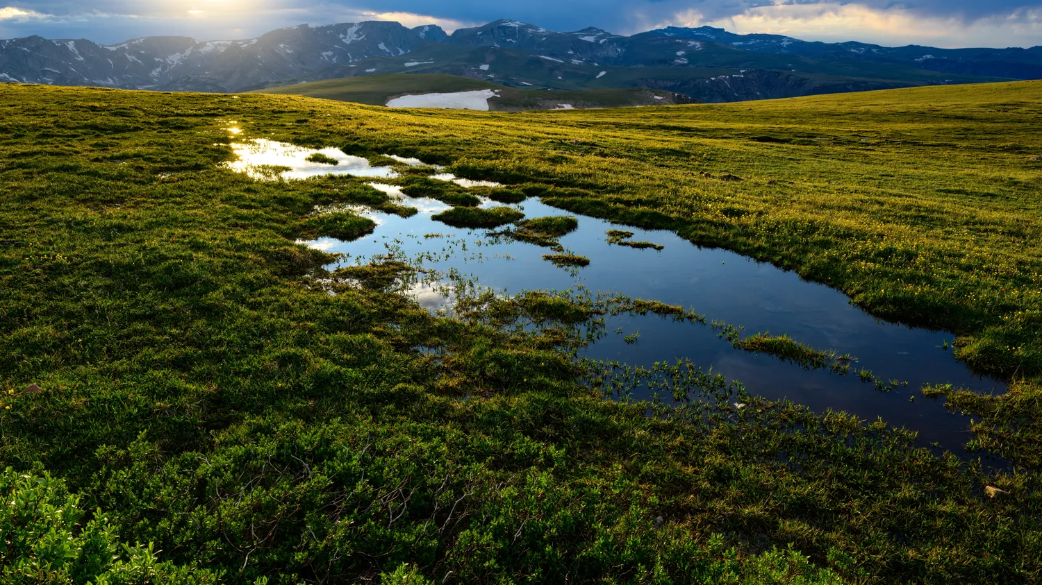 Looking towards the Beartooths.