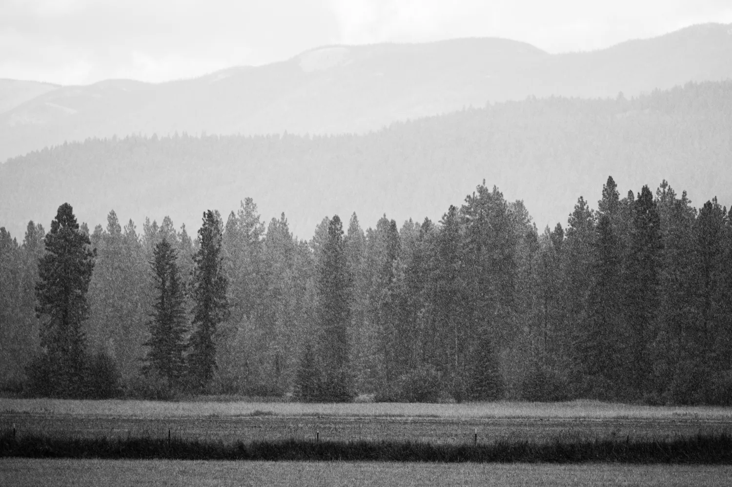 Flathead Valley, Montana