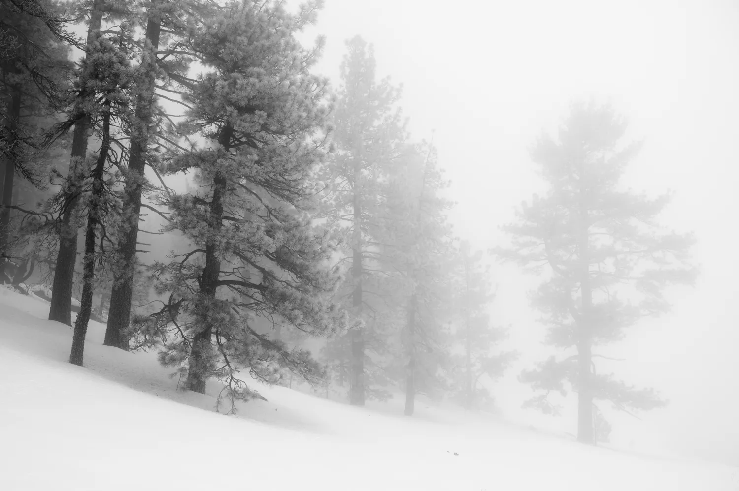 Mount Laguna, San Diego County, CA.