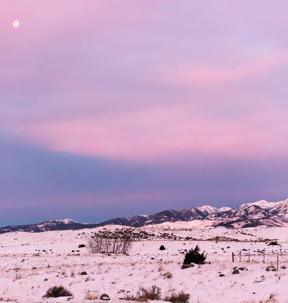 Paradise Valley, MT