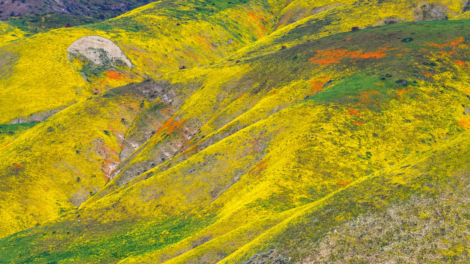 Carrizo Plain National Monument