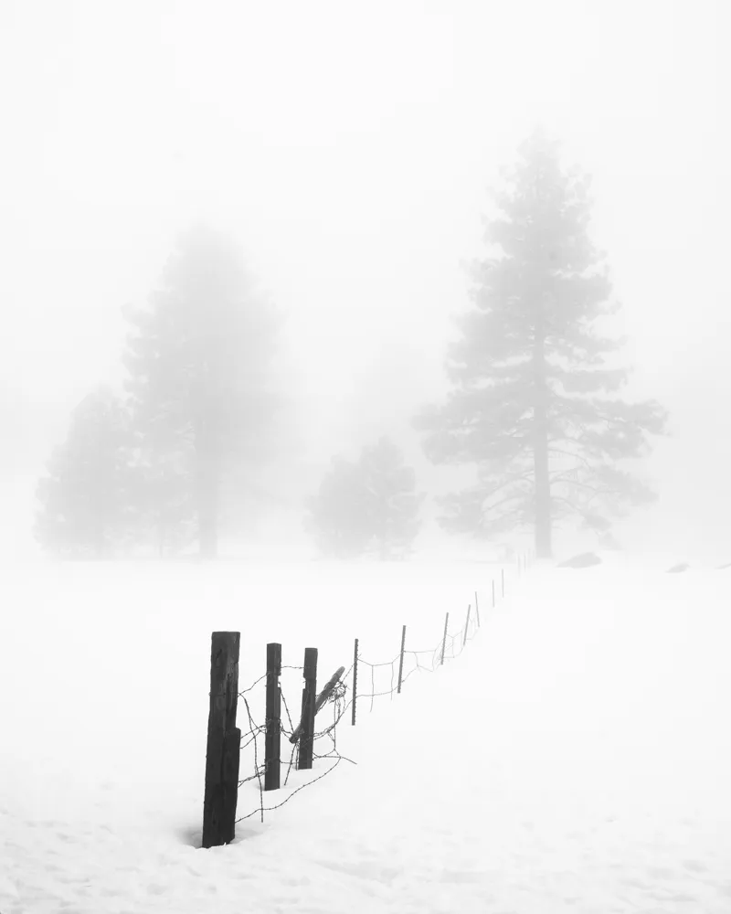 Foggy winter morning on Mount Laguna.