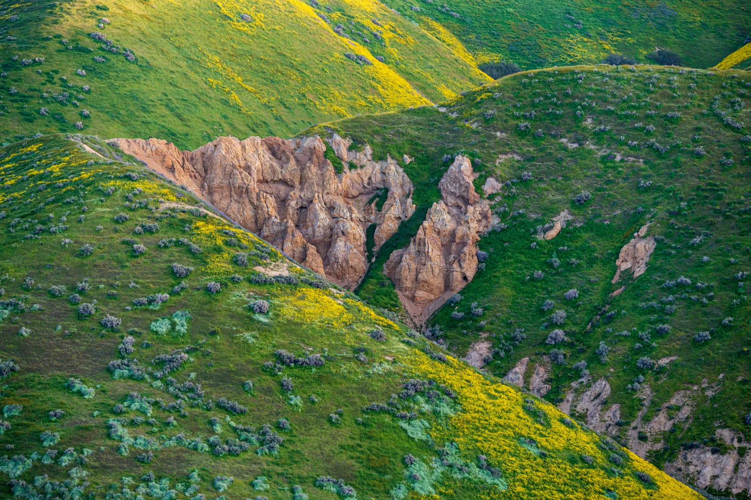 Along Elkhorn Road near Carrizo Plain National Monument.