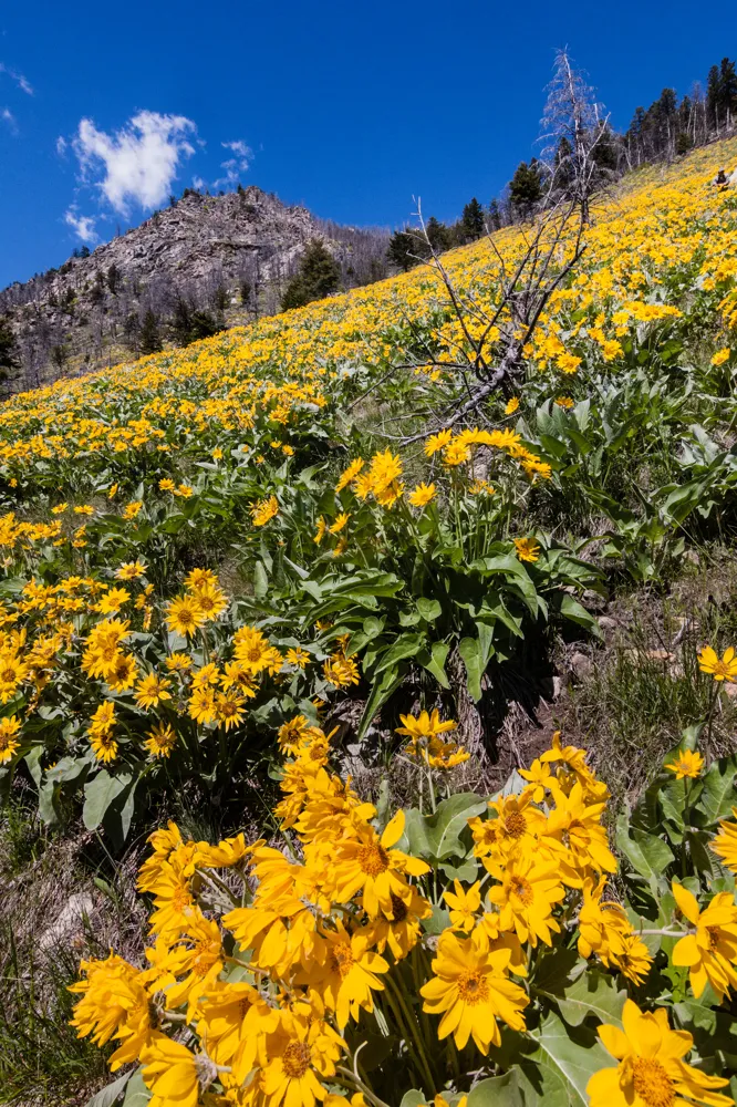 Another from the archives, from a hike a few years ago