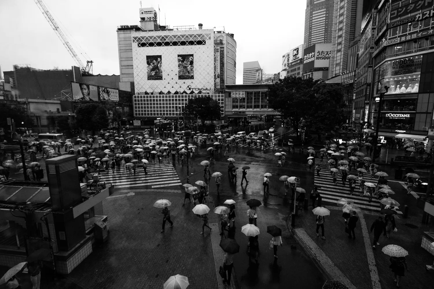 Shibuya, Tokyo, Japan