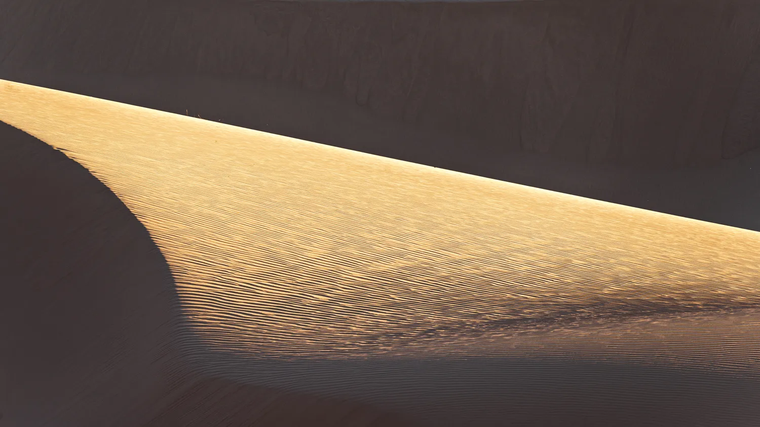 Imperial Sand Dunes Recreation Area, CA