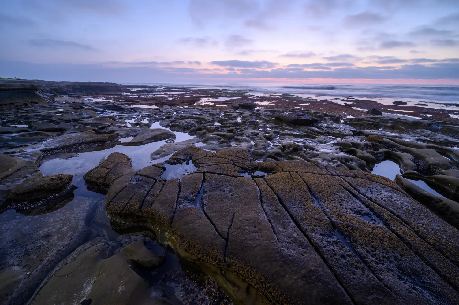 La Jolla Tidepools