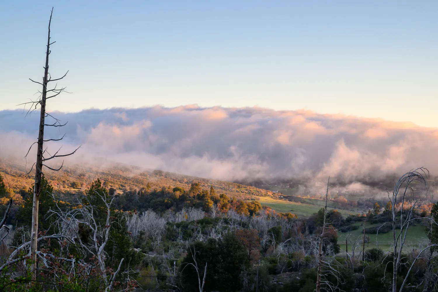 Cuyamaca Rancho State Park, California