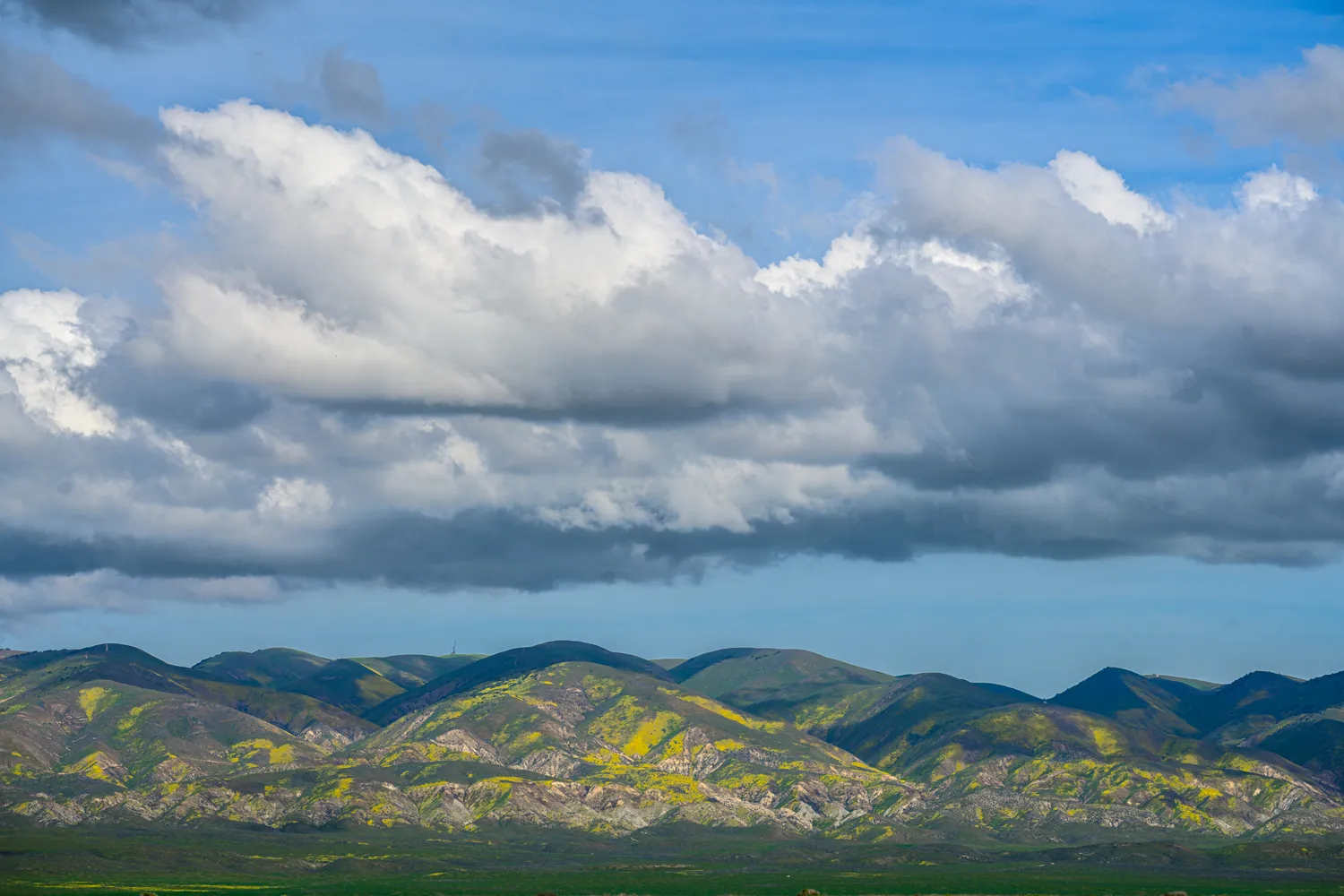 Carrizo Plain National Monument
