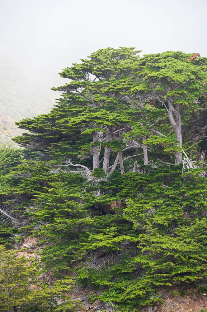 Big Sur, California