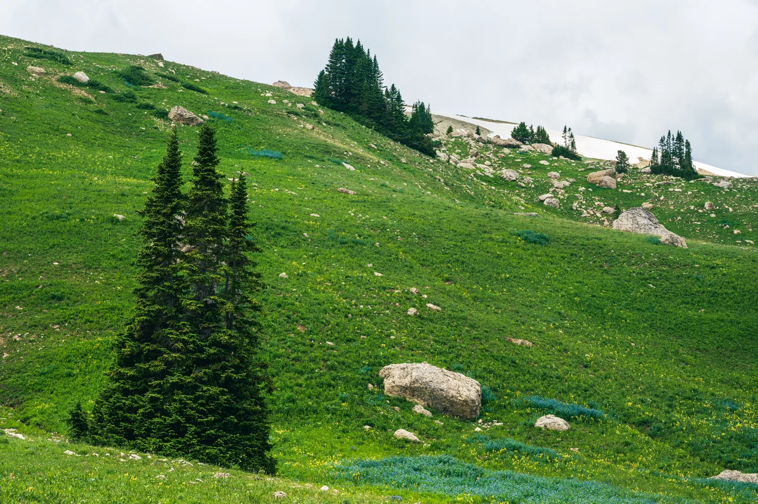 Beartooth Mountains, MT.