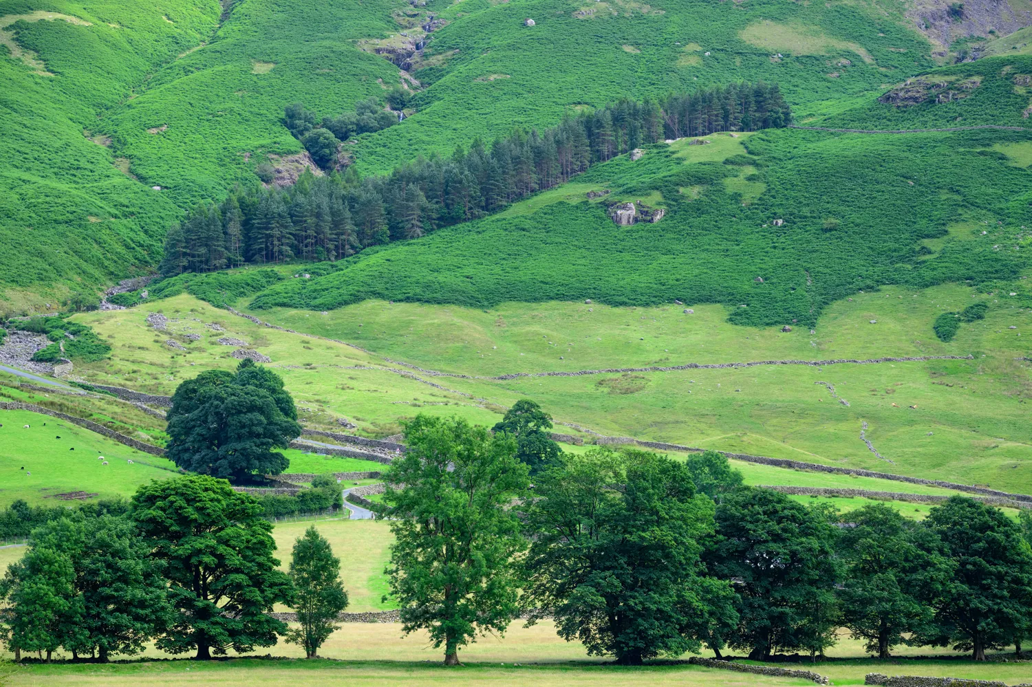 Lake District, England.