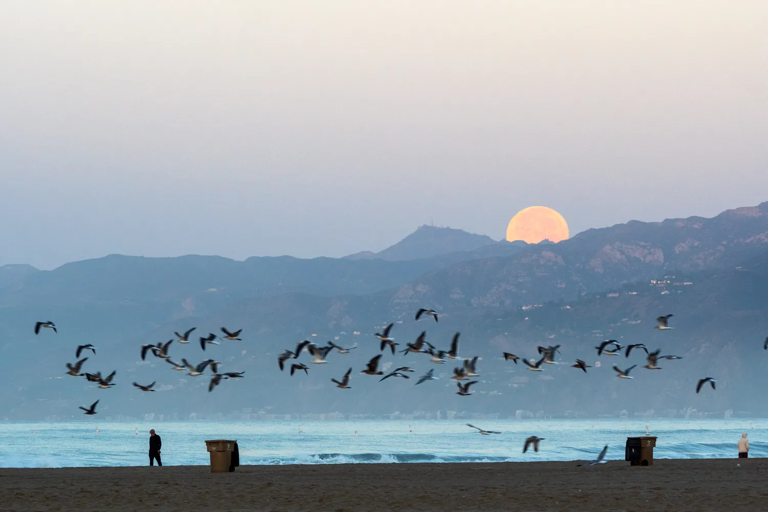 Santa Monica, CA