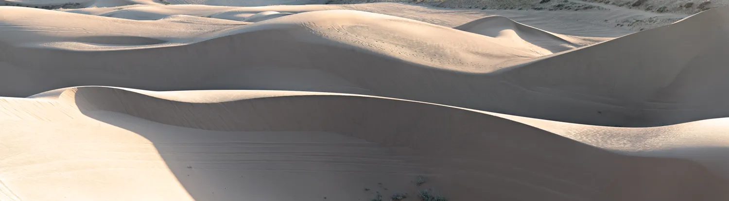 Imperial Sand Dunes Recreation Area, CA