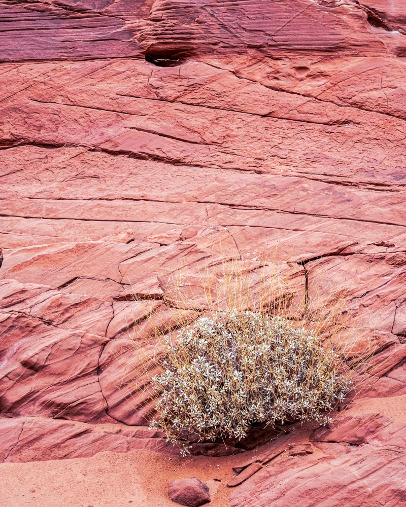 Illuminated shadows on the canyon walls in Valley of Fire State Park.