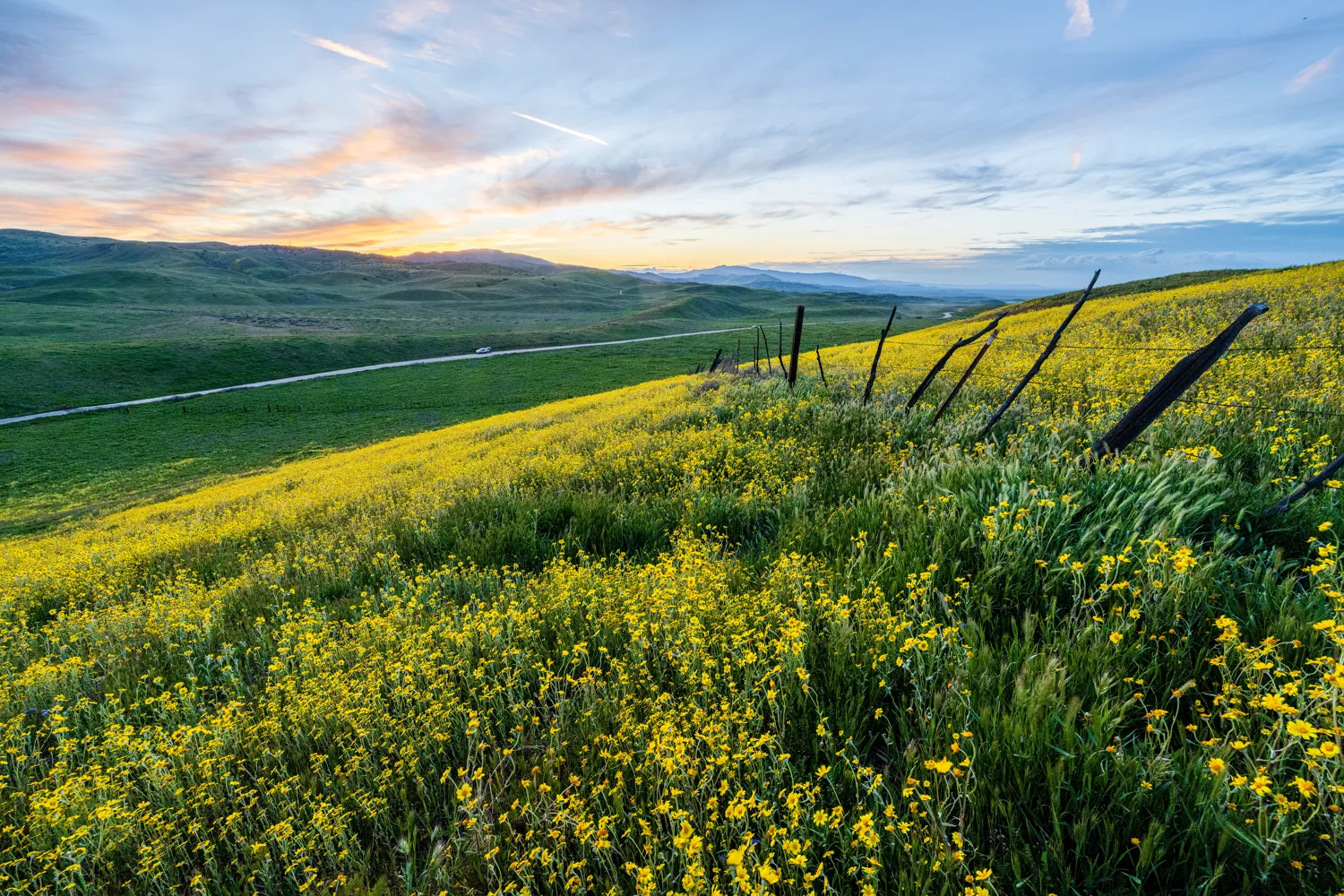 Carrizo Plain National Monument