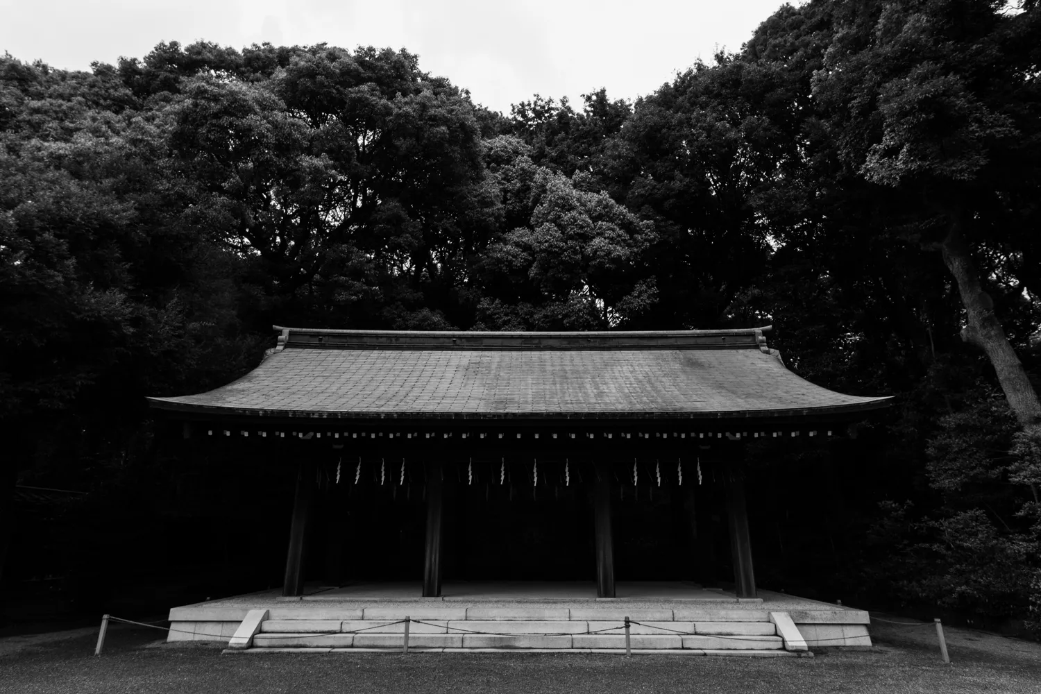 Meiji Shrine, Shibuya, Tokyo, Japan