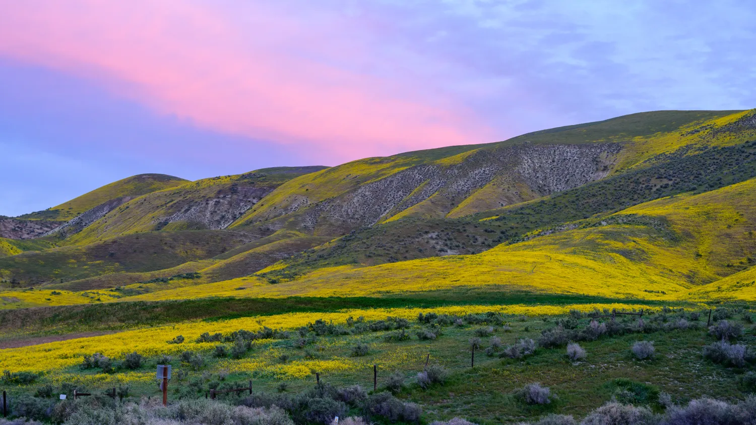 Carrizo Plain National Monument