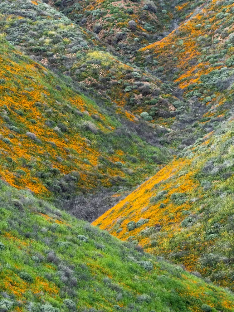 Walker Canyon, near Lake Elsinore, California.