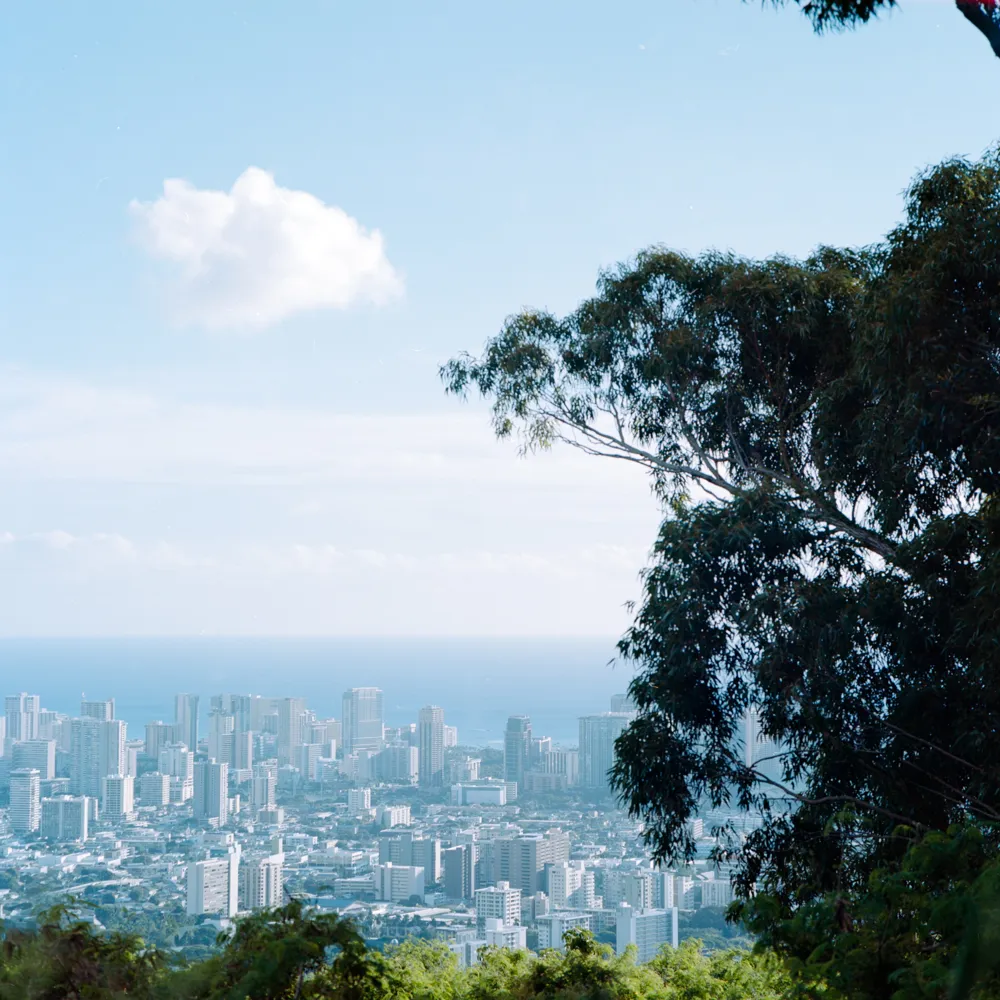 December view of Honolulu from Tantalus Drive.