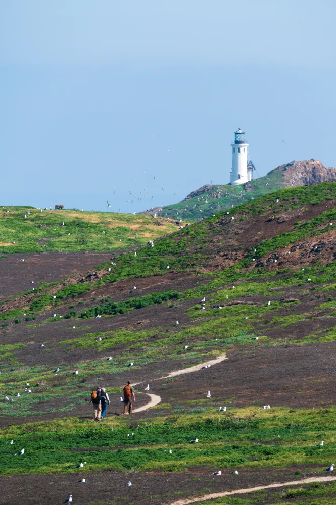 Anacapa Island, Channel Islands National Park, California